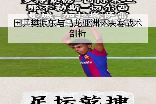 国乒樊振东与马龙亚洲杯决赛战术剖析